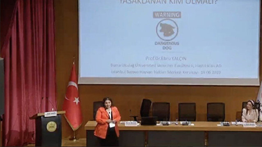 "Daha çok ısırmıyorlarsa olgunluklarından"